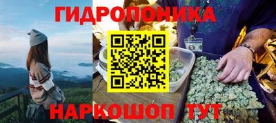 a pvp Заводоуковск