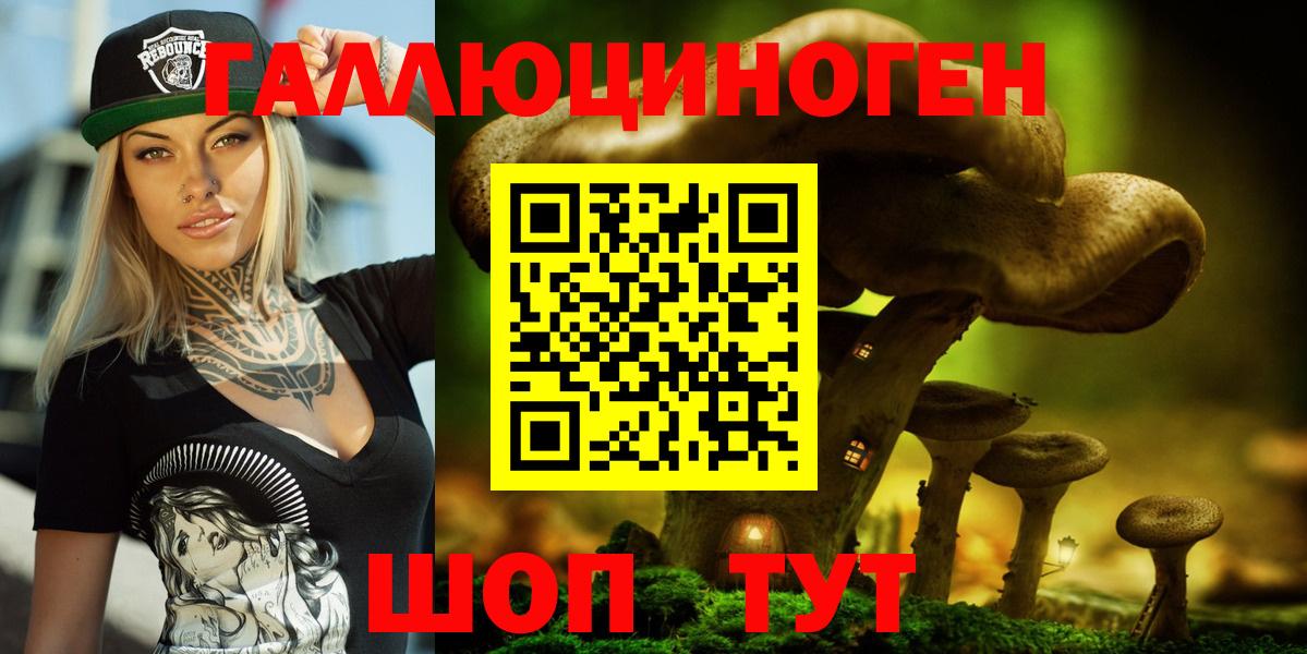 Малгобек  закладка  Вход с VPN  Псилоцибиновые грибы Magic Shrooms 