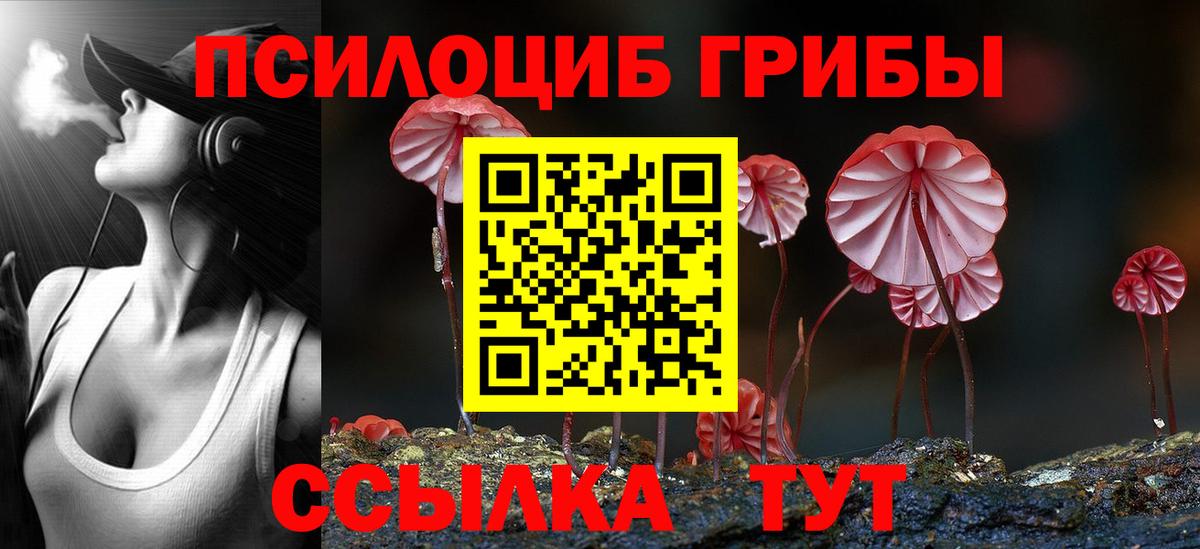 Псилоцибиновые грибы мицелий Малгобек